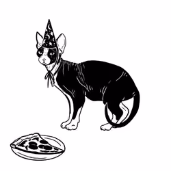 The Sad Cat #5210