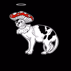 The Sad Cat #3776