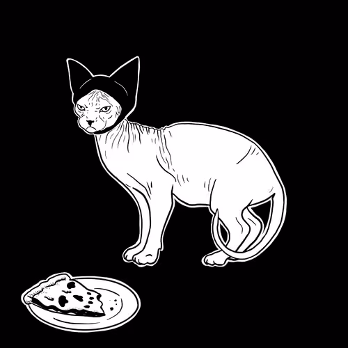 The Sad Cat #6336