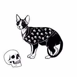 The Sad Cat #2499