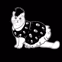 The Sad Cat #5623
