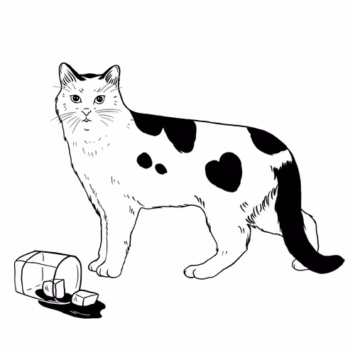 The Sad Cat #5558