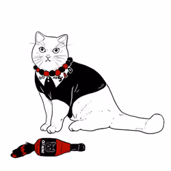 The Sad Cat #4187