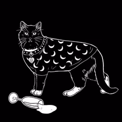 The Sad Cat #6108