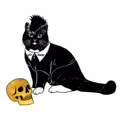 The Sad Cat #5810