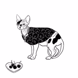 The Sad Cat #6869