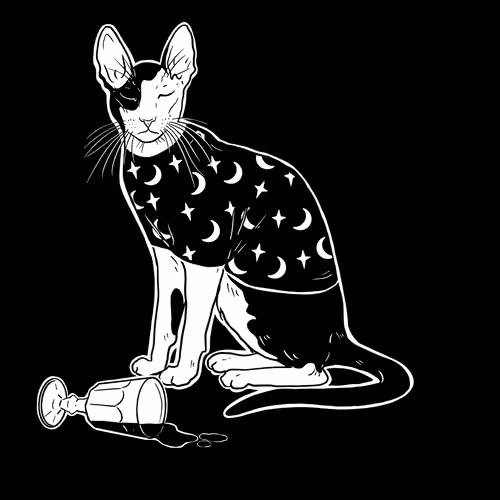 The Sad Cat #4587