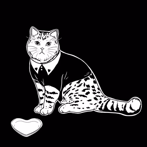 The Sad Cat #5253