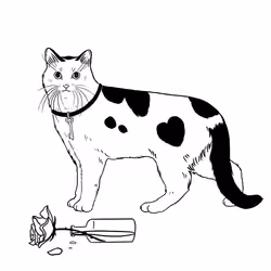The Sad Cat #3019