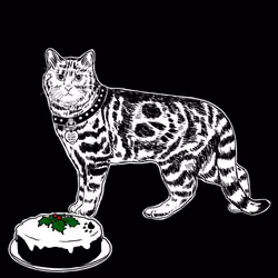 The Sad Cat #5781