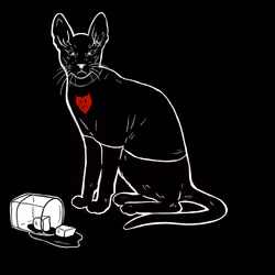 The Sad Cat #4142