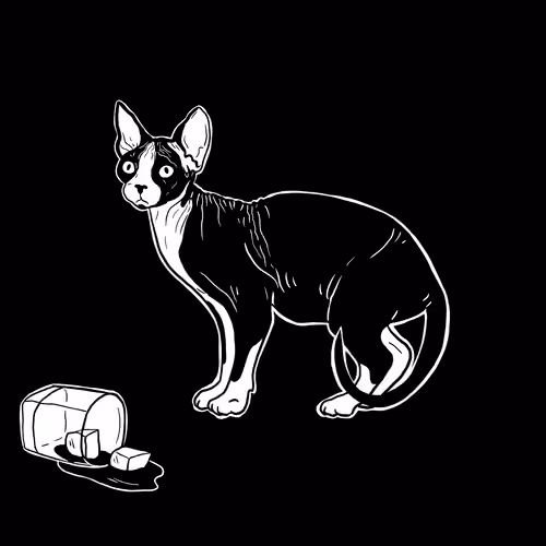 The Sad Cat #531