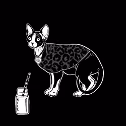 The Sad Cat #6905