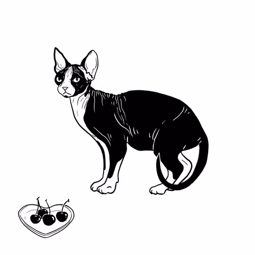 The Sad Cat #6746