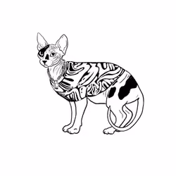 The Sad Cat #3075