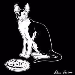 The Sad Cat #2669