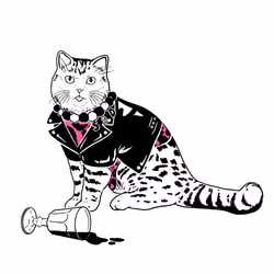 The Sad Cat #2832