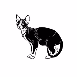The Sad Cat #3637