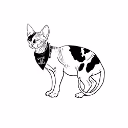 The Sad Cat #3007