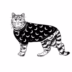 The Sad Cat #4584