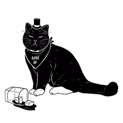 The Sad Cat #3638