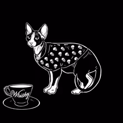 The Sad Cat #2965