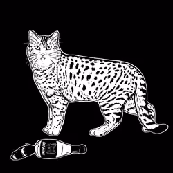 The Sad Cat #5207