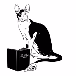 The Sad Cat #3463