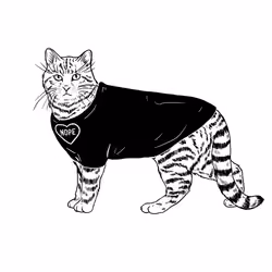 The Sad Cat #1866