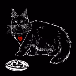 The Sad Cat #3639