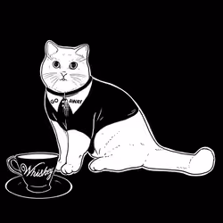 The Sad Cat #4743
