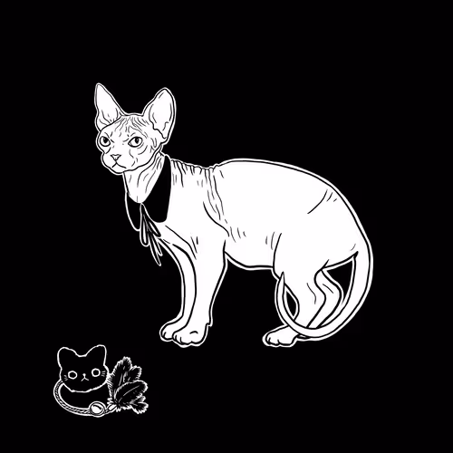 The Sad Cat #5940