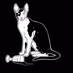 The Sad Cat #4988