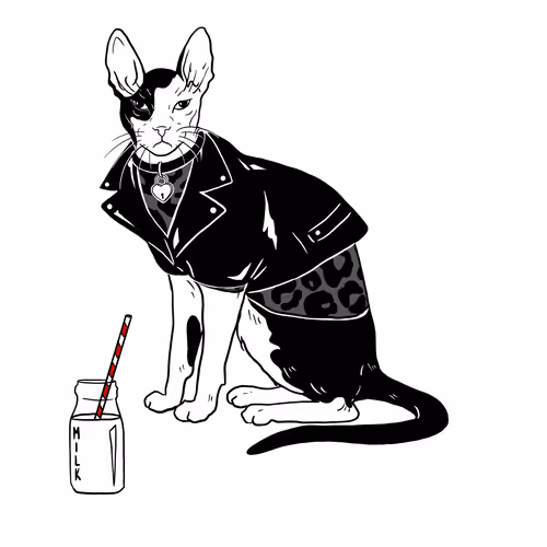 The Sad Cat #6913
