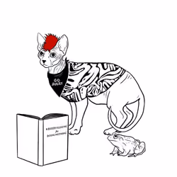 The Sad Cat #3352