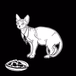 The Sad Cat #3389