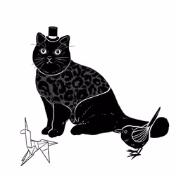 The Sad Cat #2519