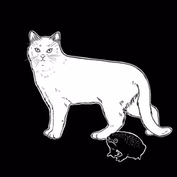 The Sad Cat #6849