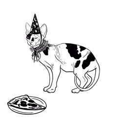 The Sad Cat #2094