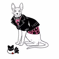 The Sad Cat #2834