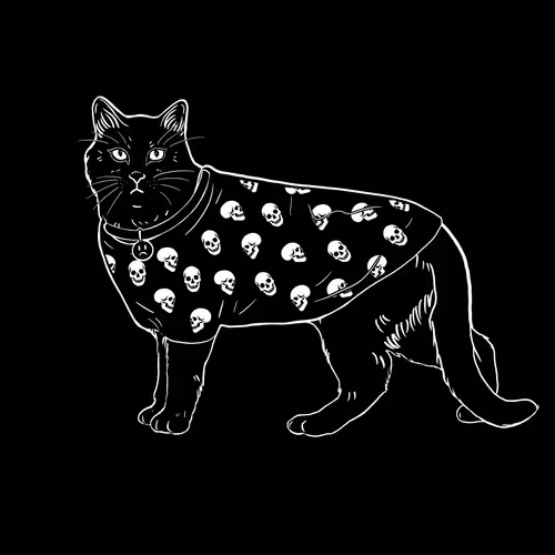 The Sad Cat #5106