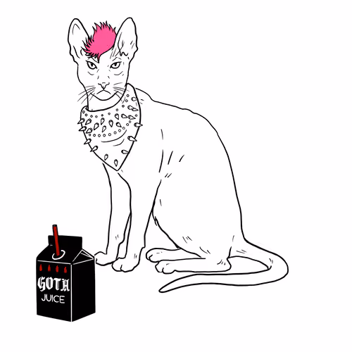 The Sad Cat #5036