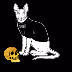 The Sad Cat #6332