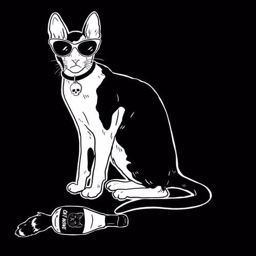 The Sad Cat #5271
