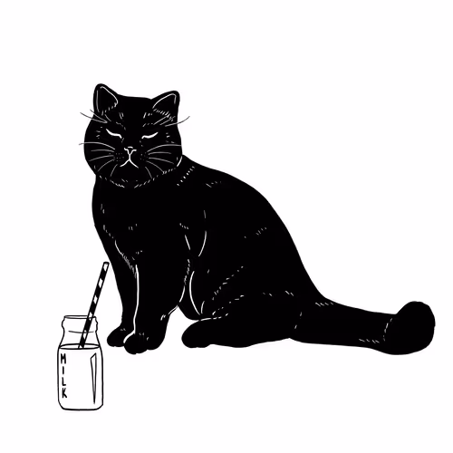 The Sad Cat #2544