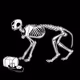 3515