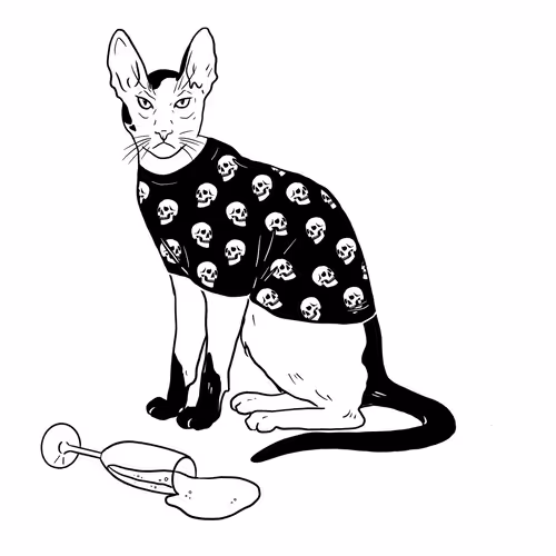 The Sad Cat #3682