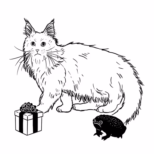 The Sad Cat #3183