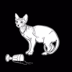The Sad Cat #923