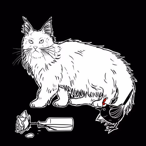 The Sad Cat #4974